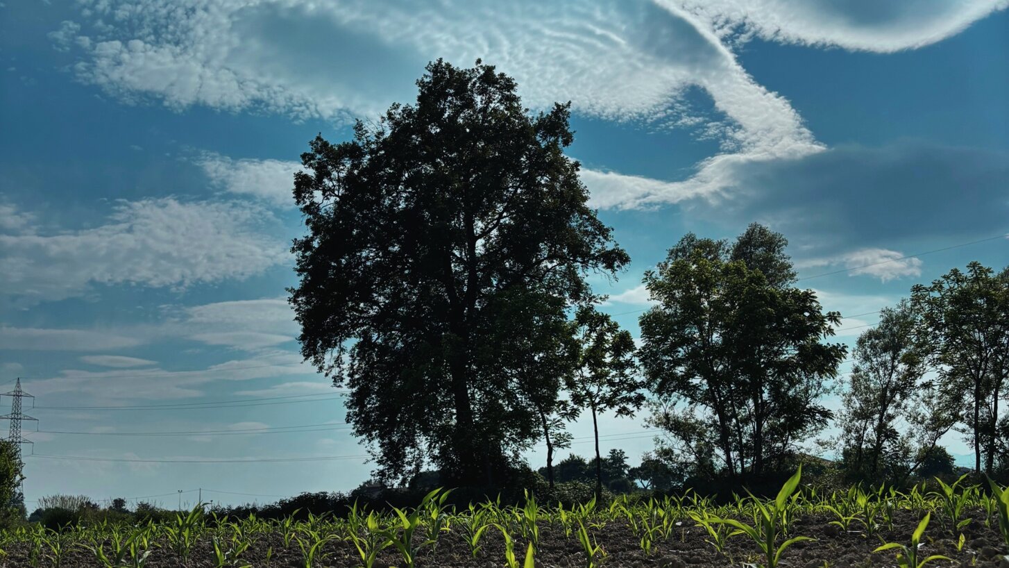 purple yellow cream motivational girly desktop wallpaper (1).jpeg