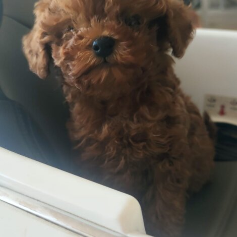 img-20250604-wa0002.jpeg