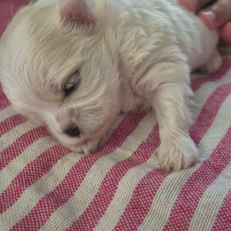 img-20250604-wa0004.jpeg