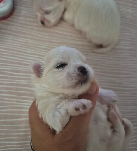 img-20250612-wa0005.jpeg