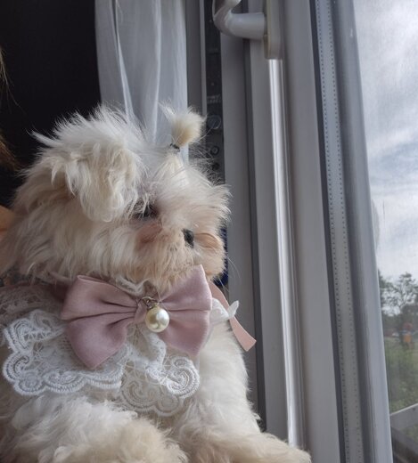 img-20250617-wa0008.jpeg