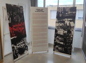 image-1.jpeg image-1.jpeg