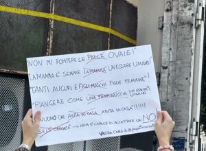 img_4461.jpeg img_4461.jpeg