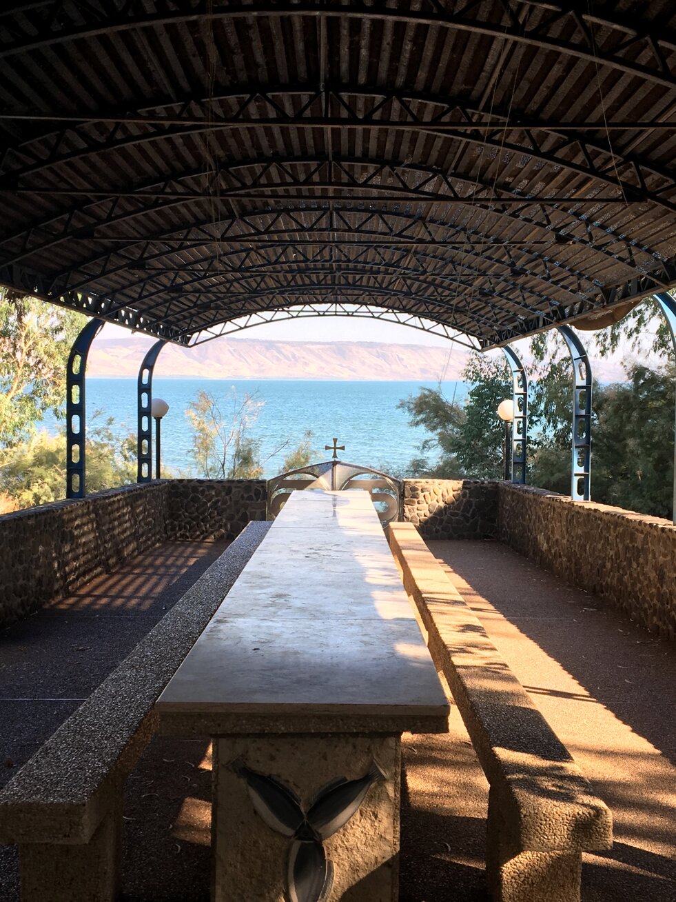 img_4515.jpeg img_4515.jpeg