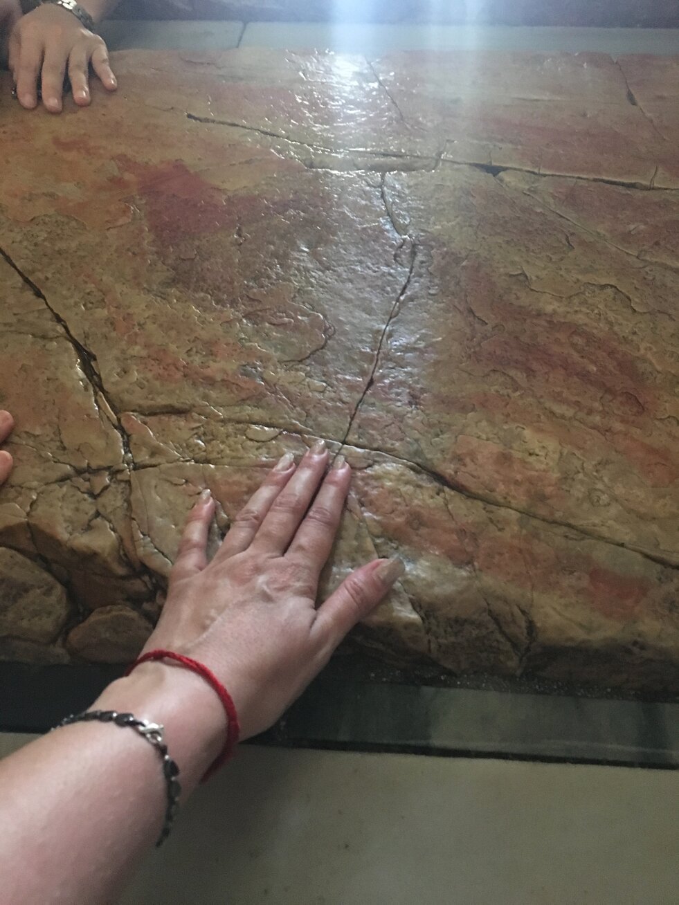 img_4698.jpeg img_4698.jpeg