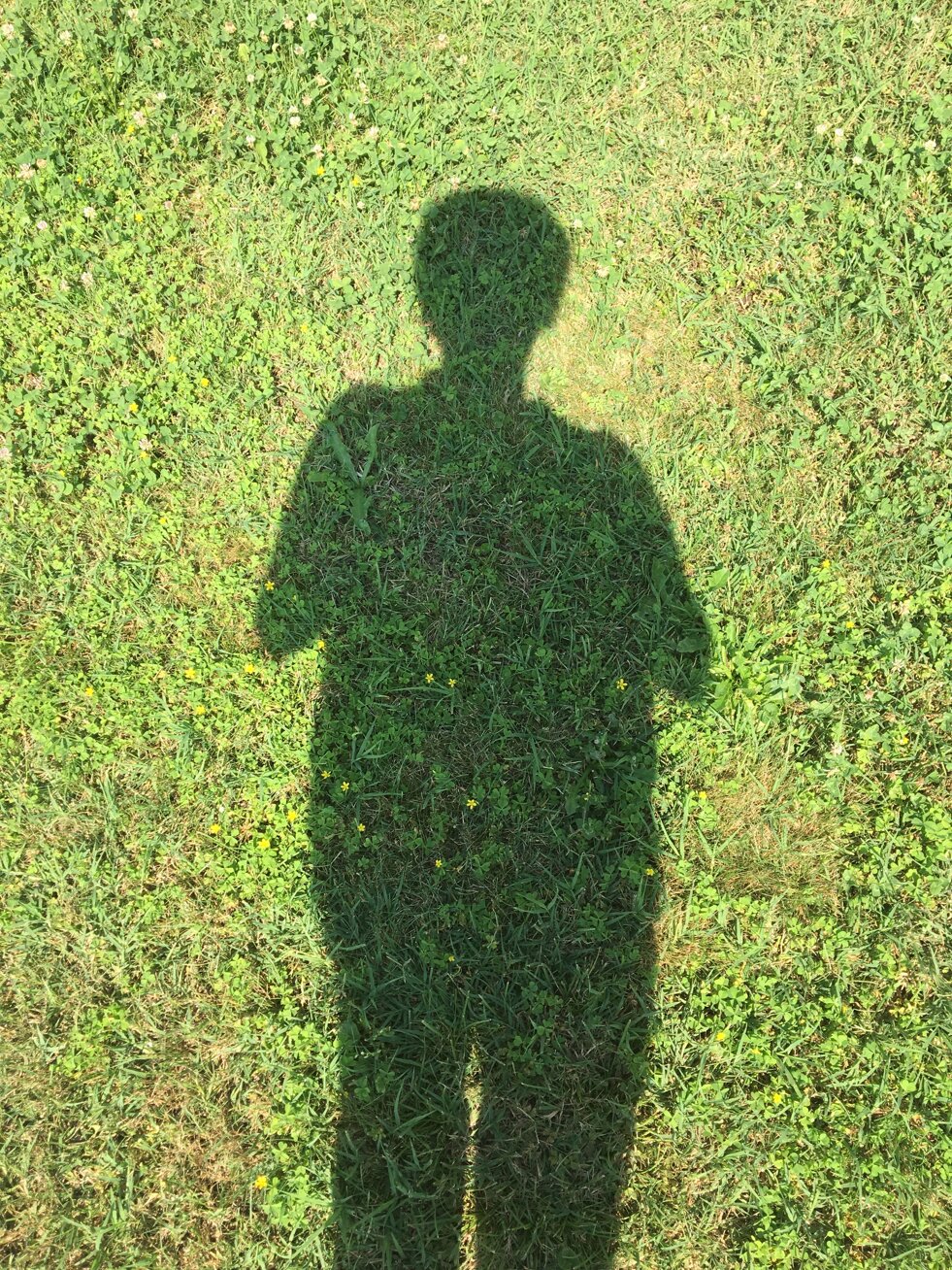 img_4934.jpeg img_4934.jpeg