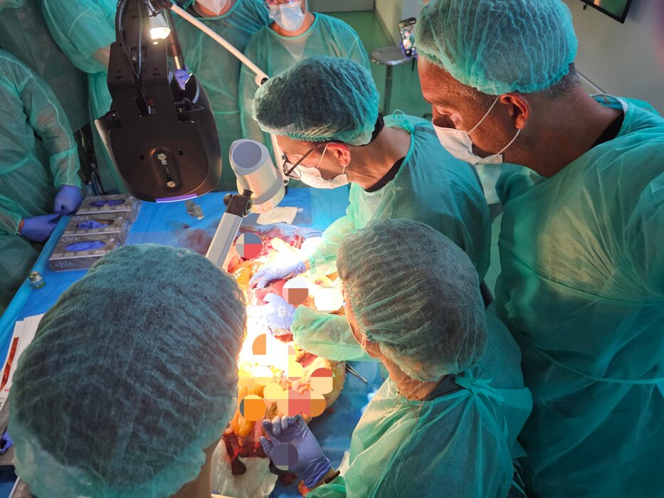 polish_20250925_172846353.jpeg polish_20250925_172846353.jpeg