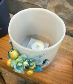 imgi_3_candela-biedermeier-dallalto
