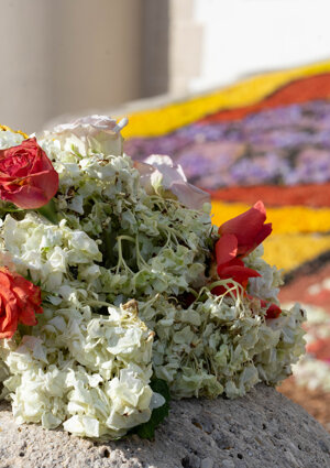 filacciano-6.jpeg filacciano-6.jpeg