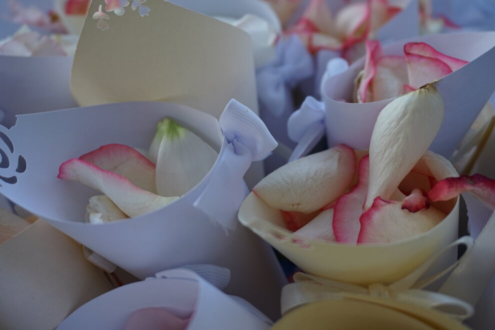 dsc03353.jpeg dsc03353.jpeg