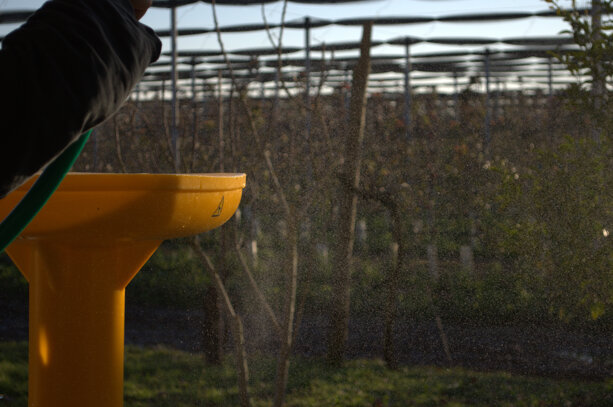 _dsc7552.jpeg _dsc7552.jpeg