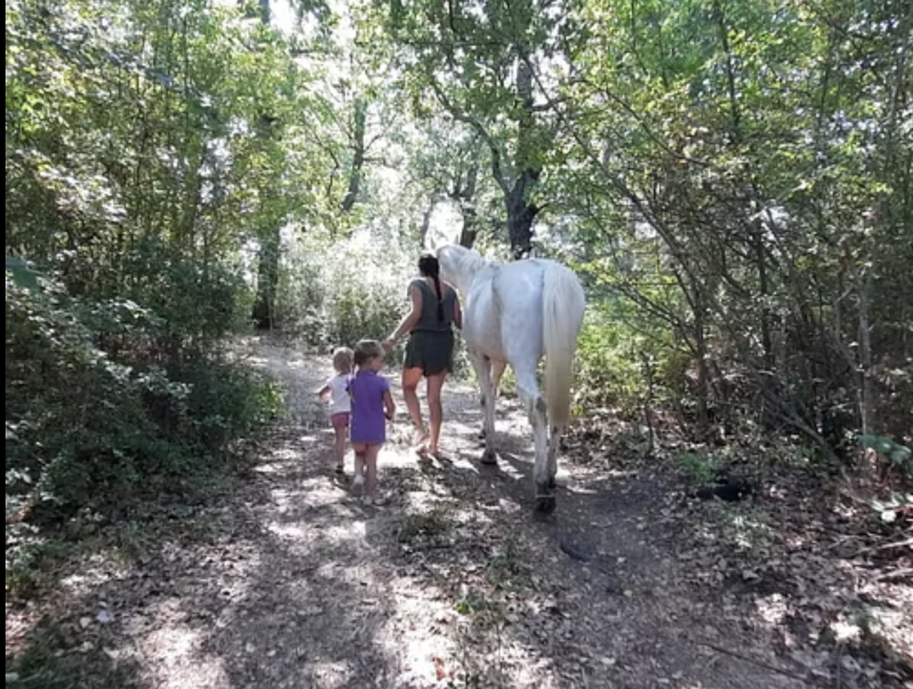 È vuota adesso, la casa nel bosco
