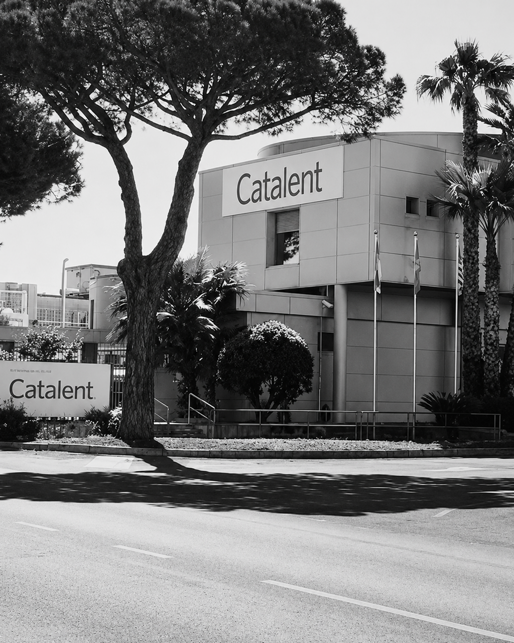 76742e2f-dc96-4458-bcca-1b5cca1b1cfc