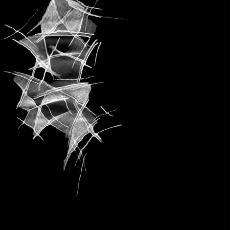 opera elaborazione digitale 