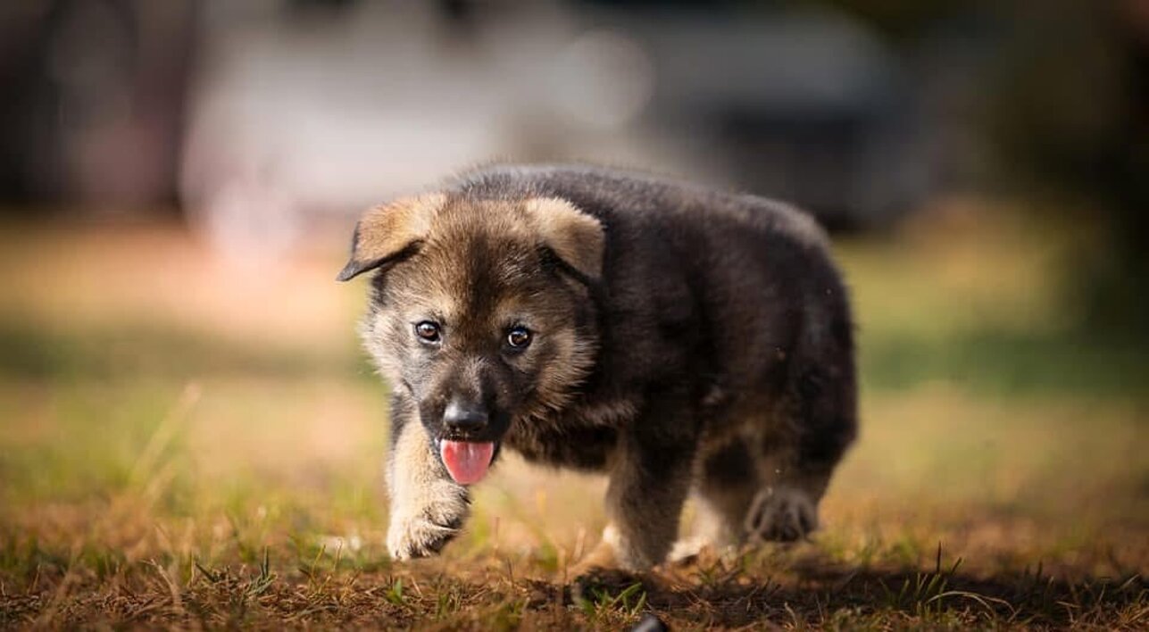 img_5023modif.jpeg img_5023modif.jpeg