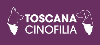 16451_18d9a7bcedf85519b28570ba65de32c85b594a51