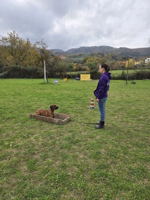 20251116_120856.jpeg 20251116_120856.jpeg