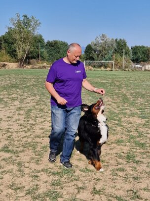 img-20250815-wa0015.jpeg img-20250815-wa0015.jpeg