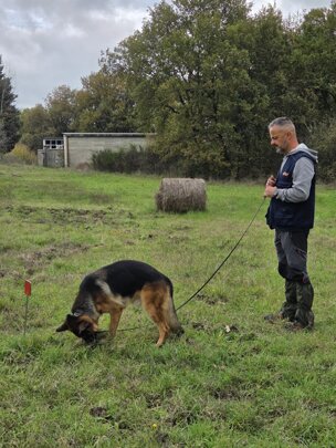 20251102_101734.jpeg 20251102_101734.jpeg