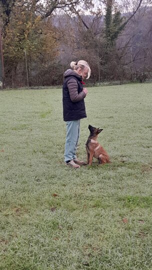 20251204_115844.jpeg 20251204_115844.jpeg