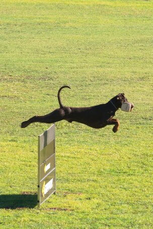 whatsapp image 2021-10-18 at 12.11.05 (2)_resized.jpeg