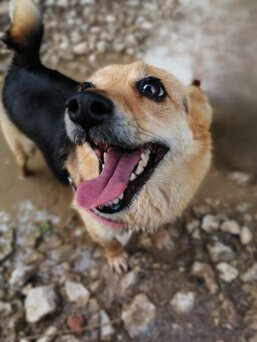 imgrandag1.jpeg imgrandag1.jpeg