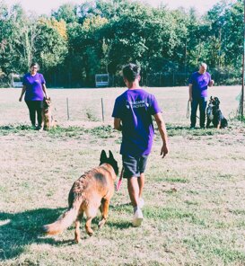 img-20250815-wa0008rew.jpeg img-20250815-wa0008rew.jpeg