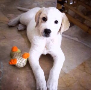 img-20250822-wa0029.jpeg img-20250822-wa0029.jpeg