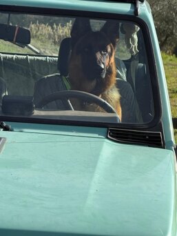 whatsapp image 2026-02-11 at 11.46.47 (1).jpeg