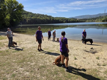 20250907_105429.jpeg 20250907_105429.jpeg