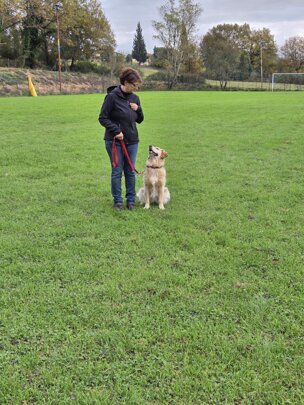 20251116_105457.jpeg 20251116_105457.jpeg