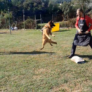 videocapture_20260211-175737.jpeg videocapture_20260211-175737.jpeg