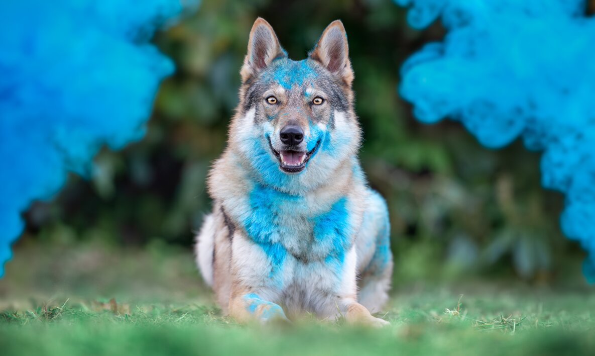 _dsc4691copia.jpeg _dsc4691copia.jpeg