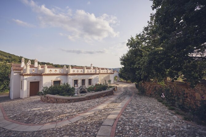 16466_275cbc8effdda69dd5d5cfafea17ed574111356c