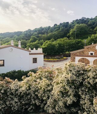 16466_9d4e375081f0eafdf3c1489eb46086c47b14d806