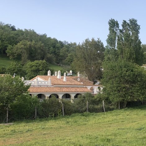 16466_275cbc8effdda69dd5d5cfafea17ed574111356c