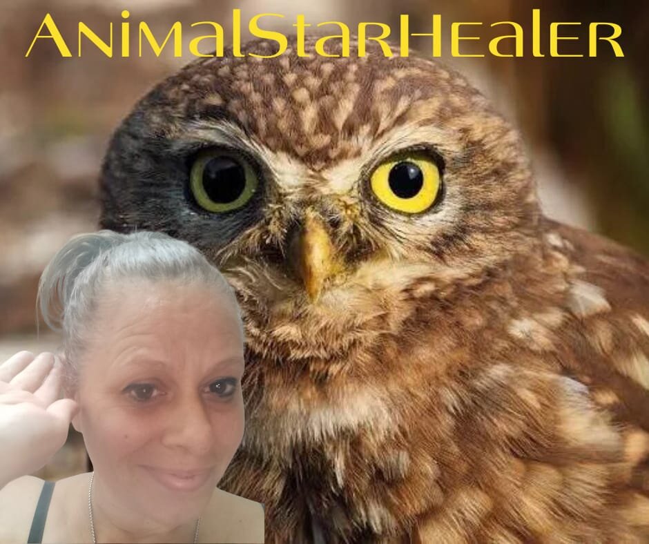 QUANDO LE PAROLE SONO VUOTE