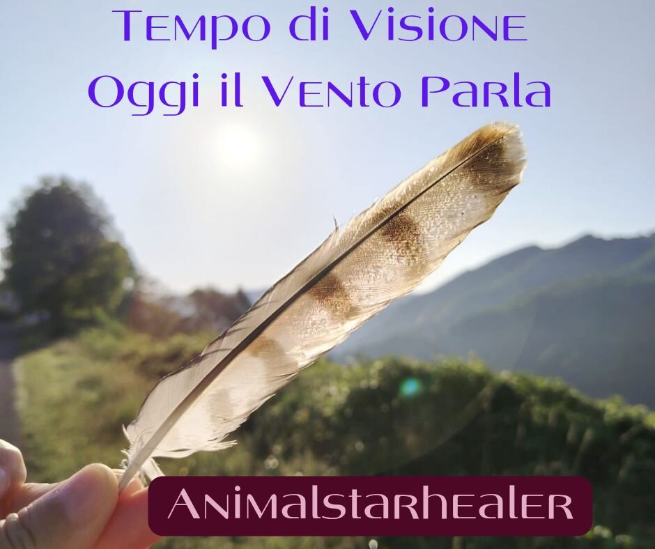 539330535_122128275026896771_3408279014351287869_n.jpeg 539330535_122128275026896771_3408279014351287869_n.jpeg