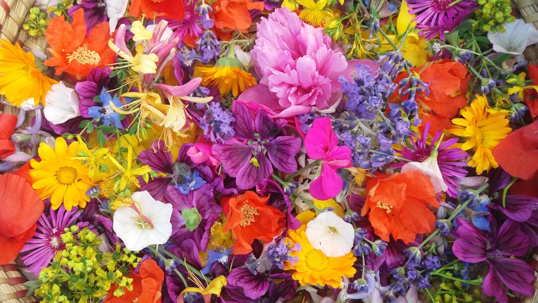 20200605_135346.jpeg 20200605_135346.jpeg