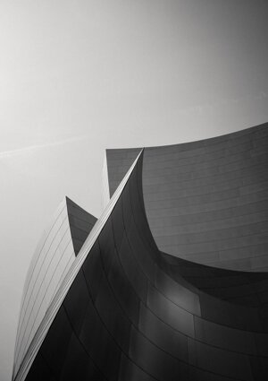 colin-carter-w1g2o4j_4dg-unsplash.jpeg