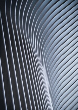 ferdinand-stohr-nfs6drtbgam-unsplash.jpeg