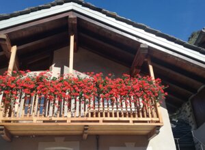 facciata esterna balcone fiorito