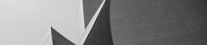 ferdinand-stohr-nfs6drtbgam-unsplash.jpeg