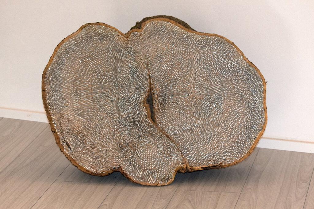 triverse.jpeg triverse.jpeg