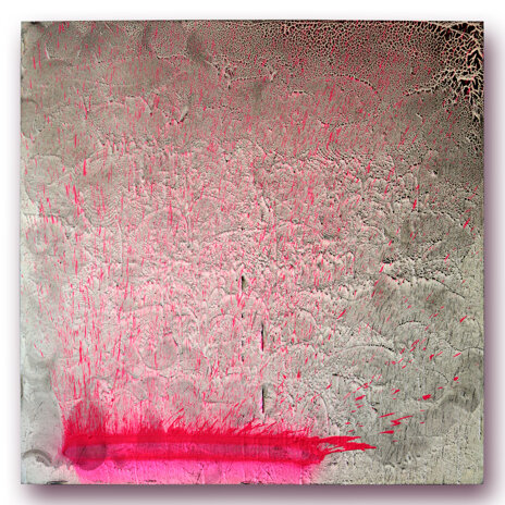 passionraf.jpeg passionraf.jpeg