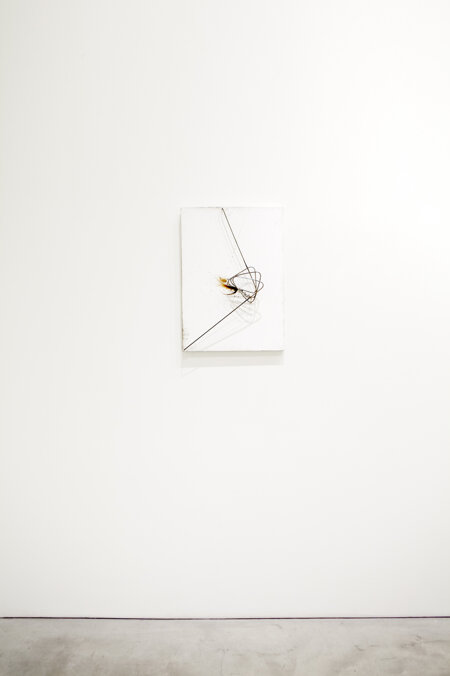 _mg_9674.jpeg _mg_9674.jpeg