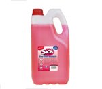 alcool-etilico-5-lt