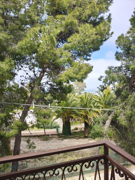 img_20260227_122755551_hdr.jpeg