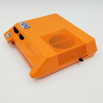 mangiadischi-corallo-arancione