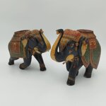 coppia-elefanti-orientali-primi-900